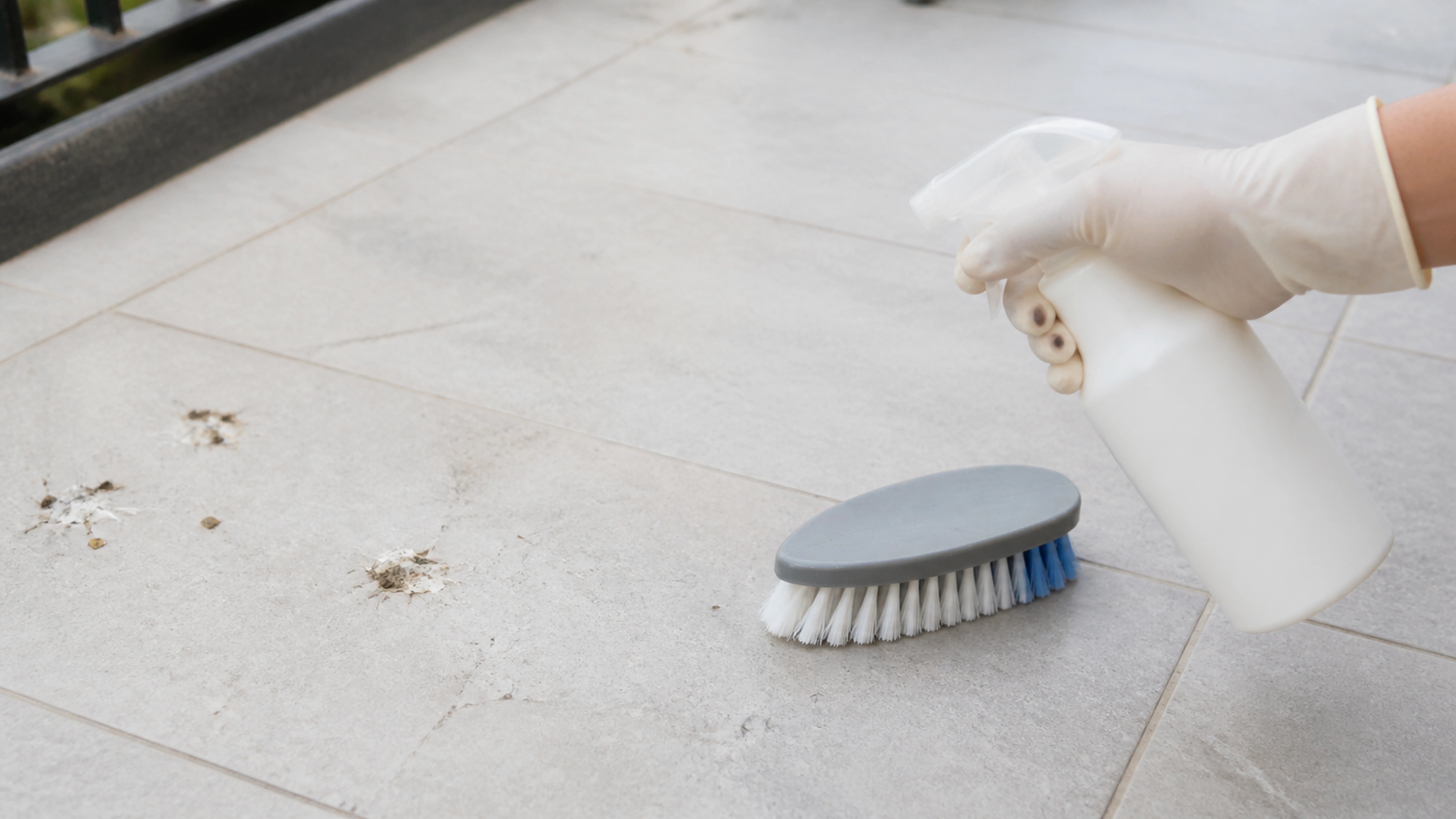 Illustration éditoriale pour l’article « Quel nettoyant fiente pigeon choisir pour vos surfaces »